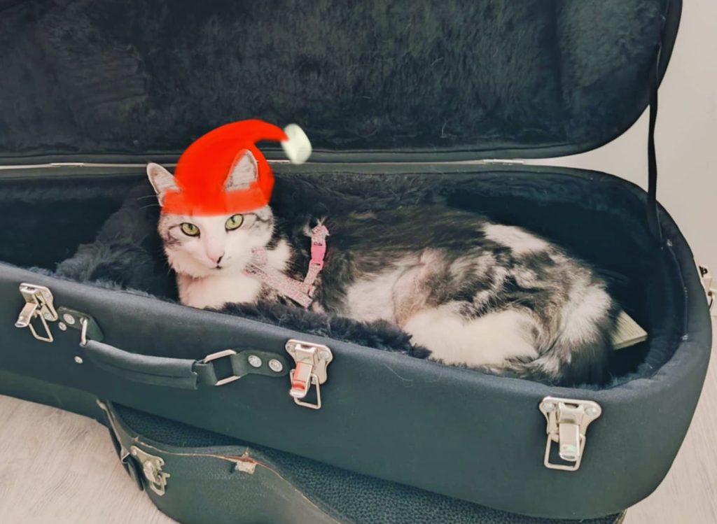 Kissa, jolla on harmaa-valkoinen turkki, makaa avonaisessa mustassa soitinkotelossa. Kissan päähän on piirretty kirkkaanpunainen tonttulakki, jossa on valkoinen tupsu ja reunus. 